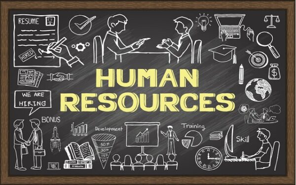 Beginners Guide to Professional HR
