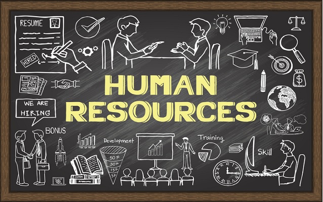 Beginners Guide to Professional HR