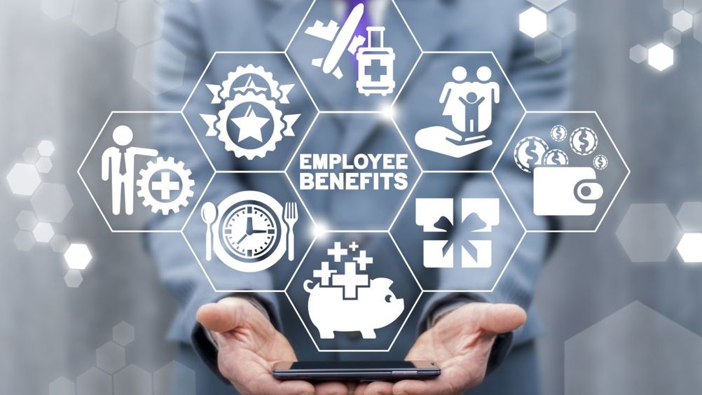 The Professional Expert HR Package